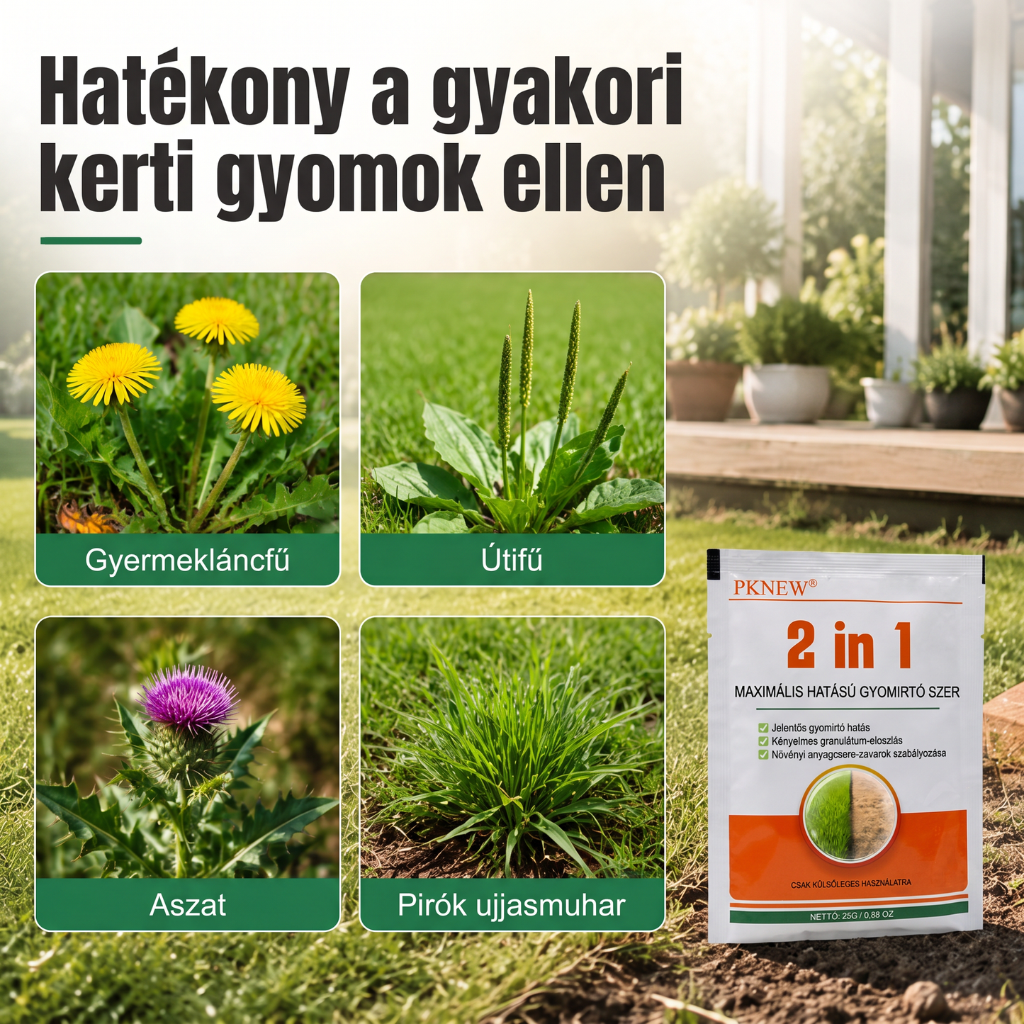 PKNEW® 🌿 Granulált 2 az 1-ben gyomirtó Max Power 🍇- látható hatás már 6 óra alatt, könnyen vízben keverhető és célzottan használható fugákon, ösvényeken, kerítéseken és kavicsos területeken
