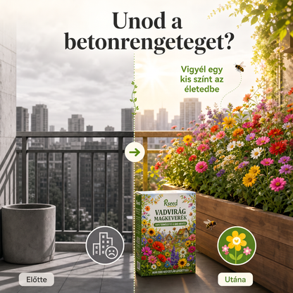 🌻 A legjobb rézvirág magok a színekben pompázó kertért🍇 – Giant & Dwarf vágott virág keverék, könnyen nevelhető egynyári növények, magas csírázóképességű Heirloom magok pillangó- és méhbarát kertekbe 🦋🐝